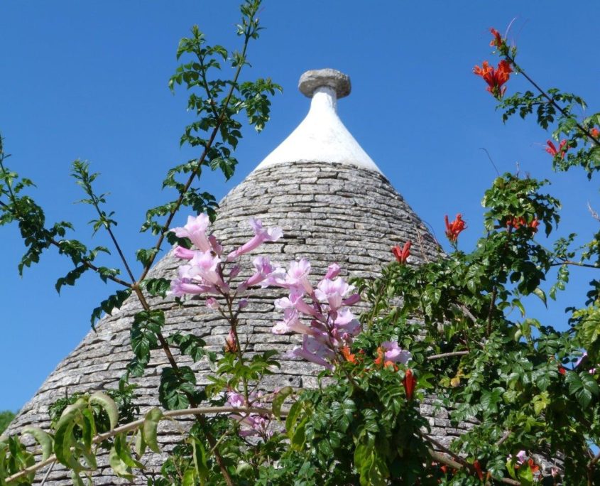 The Monuments People - guide turistiche in Puglia