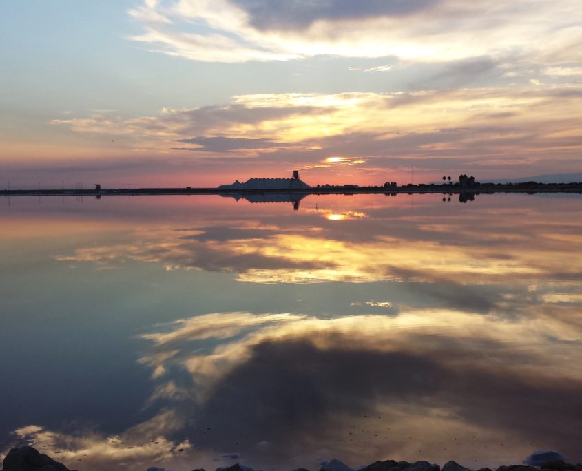 The Monuments People - guide turistiche in Puglia